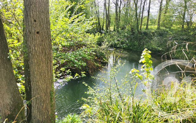 Maison &agrave; vendre - 8 pi&egrave;ces - 164 m2 - Pont L Eveque - 14 - BASSE-NORMANDIE